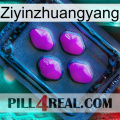 Ziyinzhuangyang 04